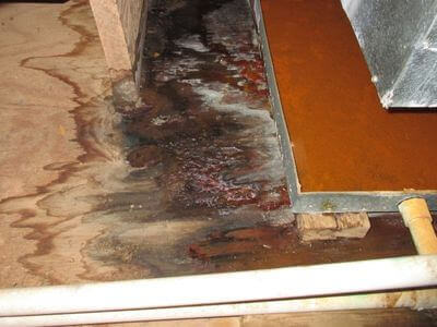 About water damage restoration service - commercial flood cleanup experts in Saint Paul
